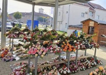 Blagdan Svih svetih sve je bliže, a na tržnici u Rovišću još je velik izbor! Pogledajte što nude domaći proizvođači