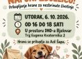 Bjelovarčani, pokažimo veliko srce: Evo gdje i kada možete pomoći napuštenim životinjama