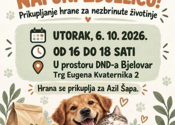 Bjelovarčani, pokažimo veliko srce: Evo gdje i kada možete pomoći napuštenim životinjama